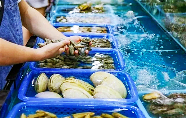 海鲜.webp.jpg